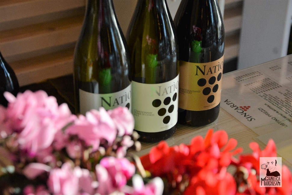 Sincarpa linea Natio